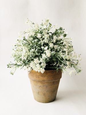 Blomst hvit i leirpotte 37 cm