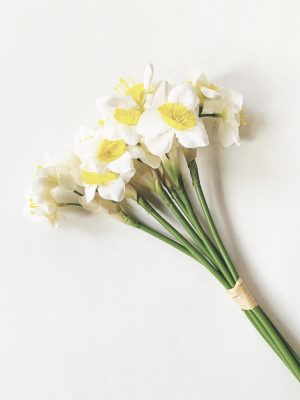 Narcisser 42 cm 6 stk/bunt creme