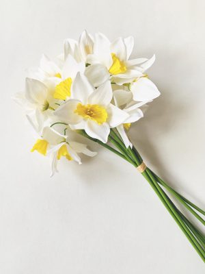 Narcisser stor 42 cm 6 stk/bunt creme