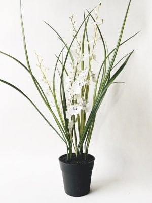 Orkide i potte 56 cm